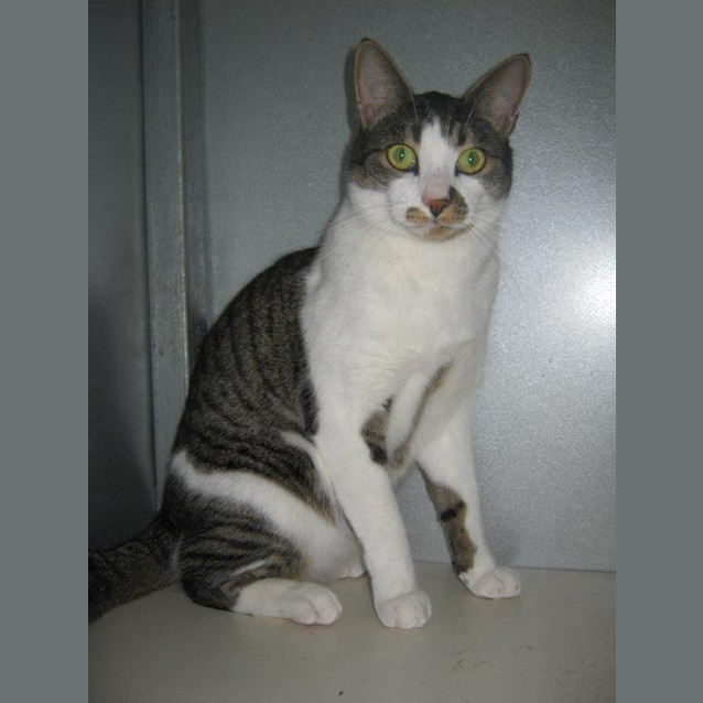 Photo of Felix 