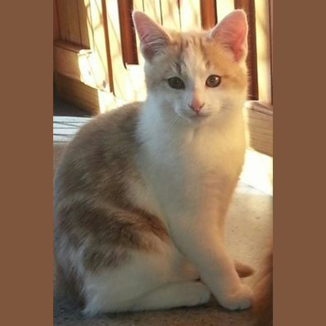 Photo of Cash