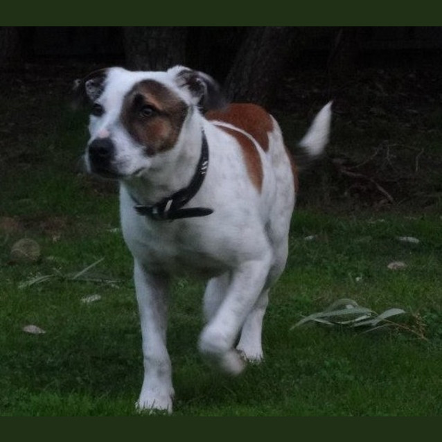 Photo of Jd