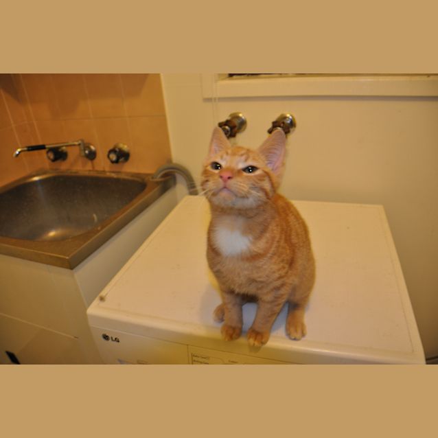 Photo of Jimmy