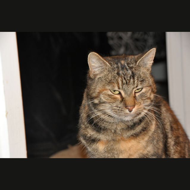 Photo of Juliet *Discounted*