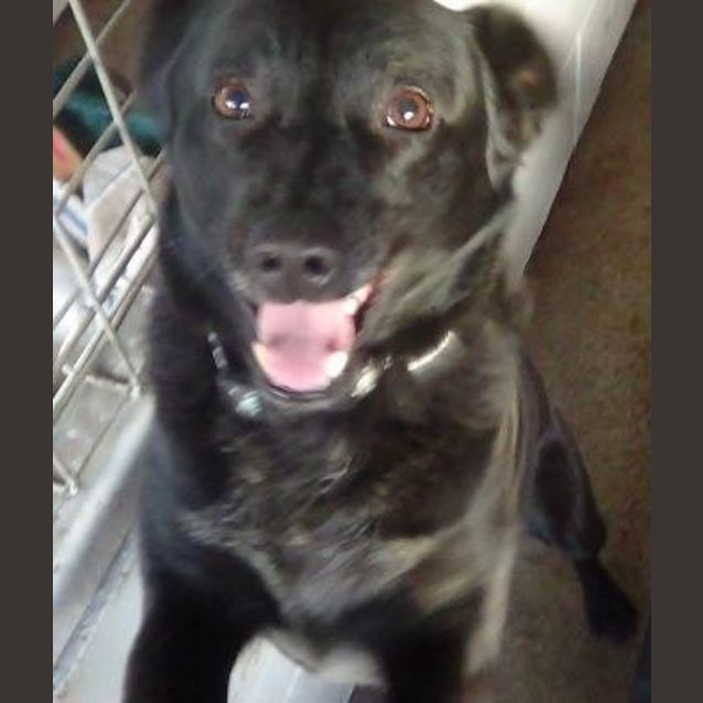 Photo of Max