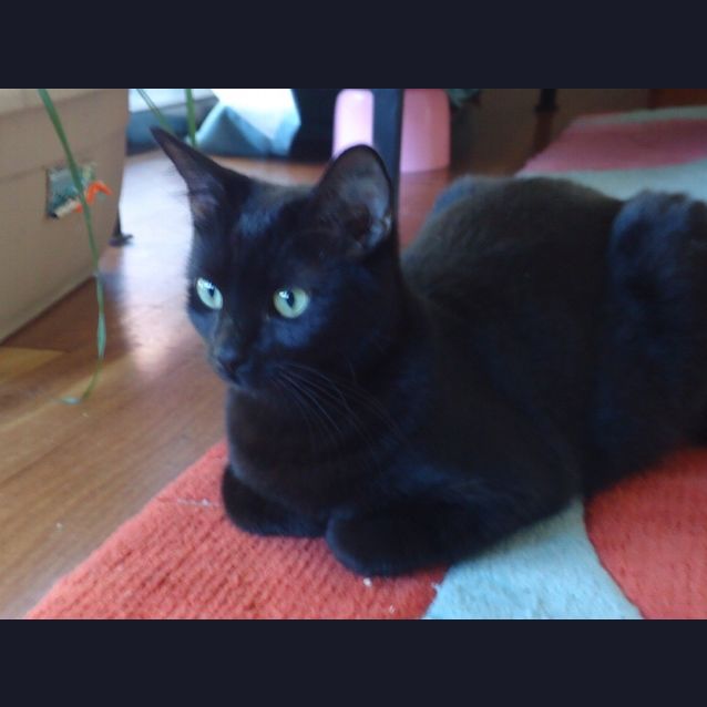 Photo of Elizabeth