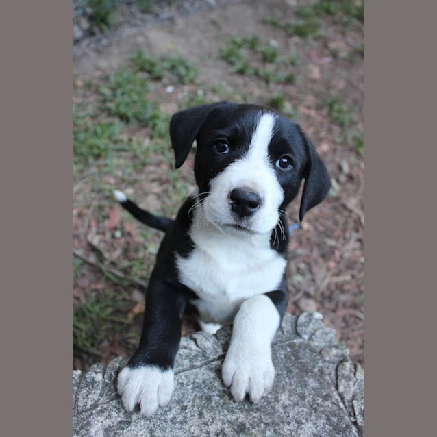 Photo of Stannis