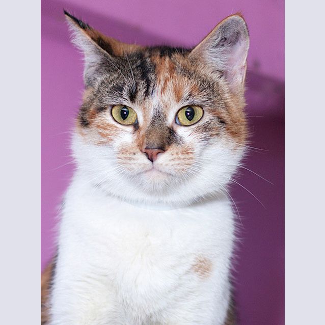 Photo of Rosie