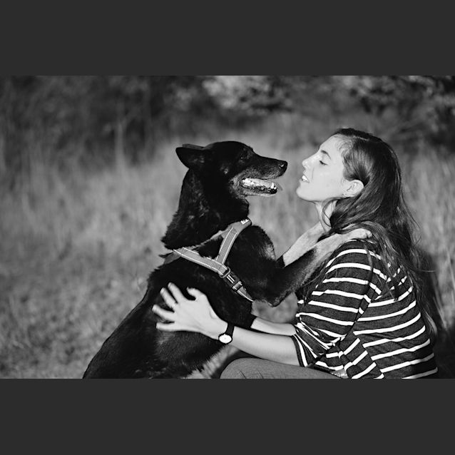 Photo of Ellie (On Trial 1/9/14)