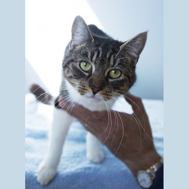 Photo of Lola