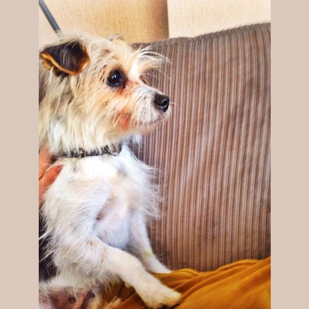 Photo of Luna