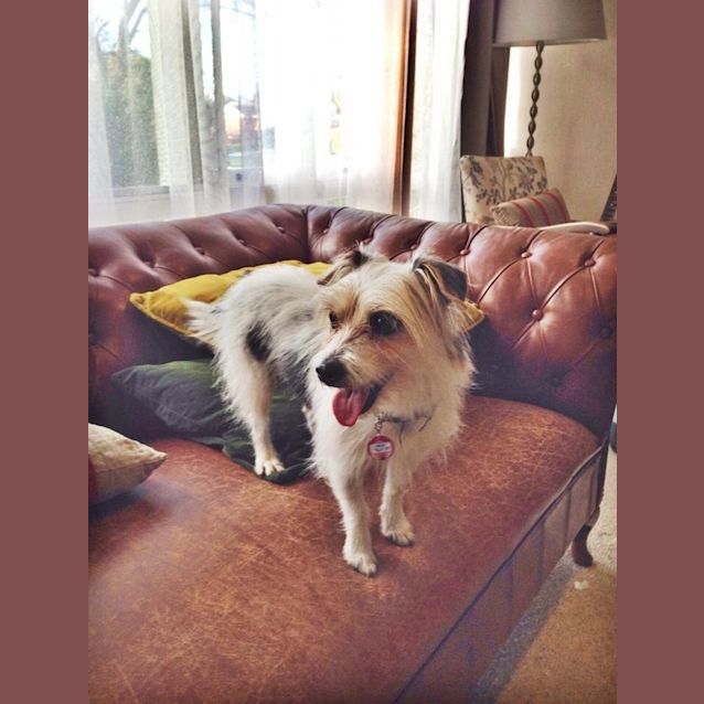 Photo of Luna