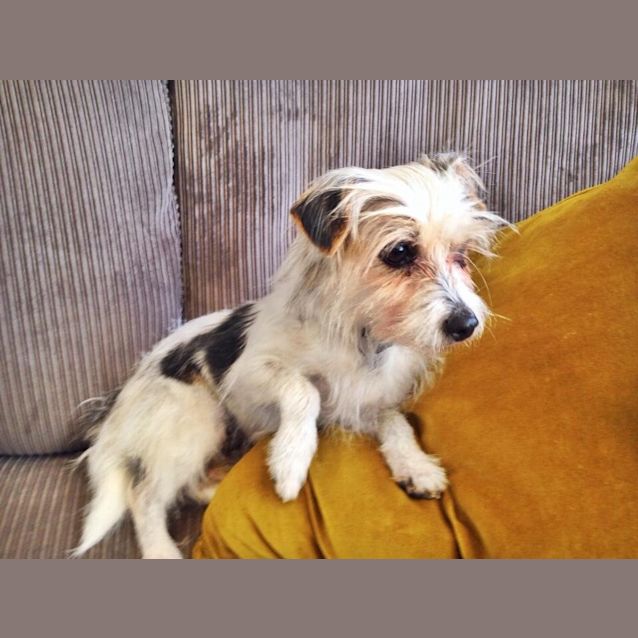Photo of Luna