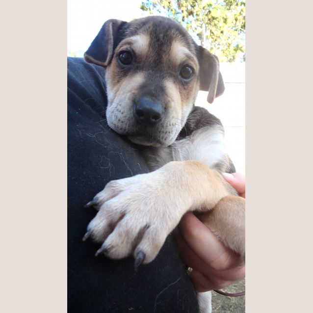 Photo of Betty 