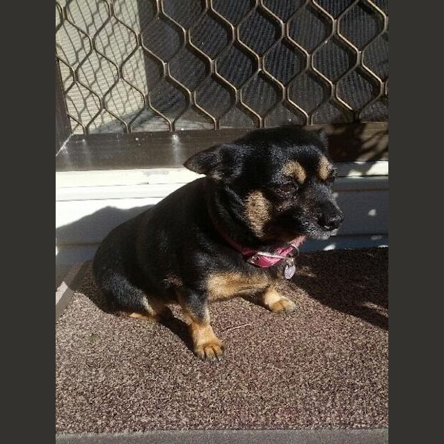 Photo of Mitzy