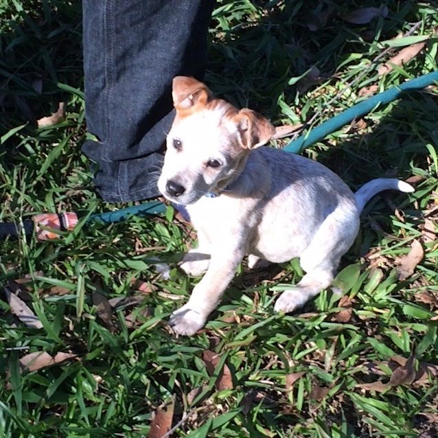 Photo of Turbo