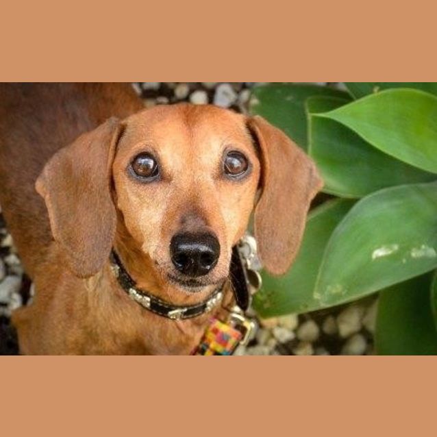 Photo of Elise And Rudi