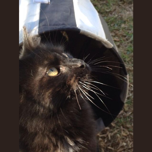 Photo of Monty