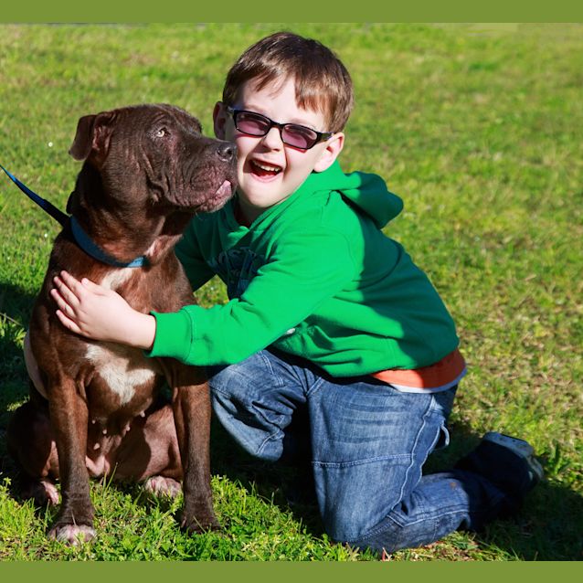 Photo of Chloe (On Trial 17/8/14) ~ Special Needs ~