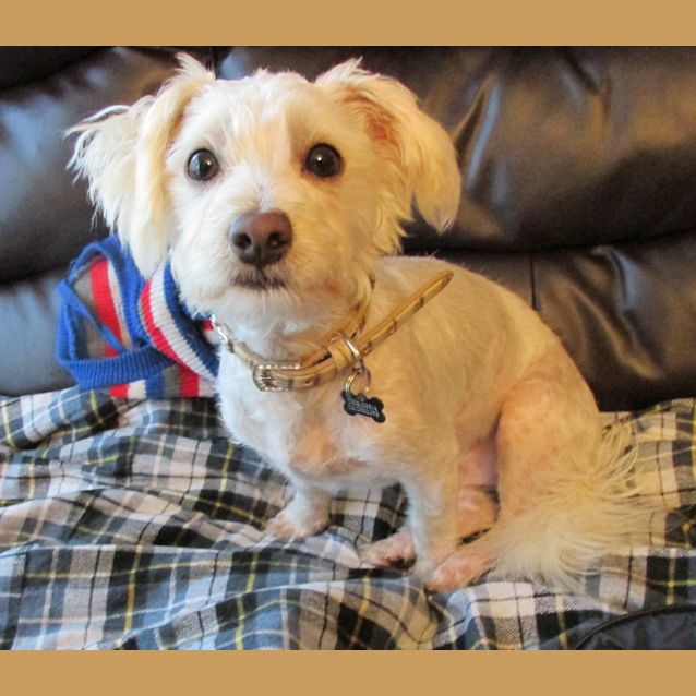 Photo of Boof *On Trial In H Is New Home*