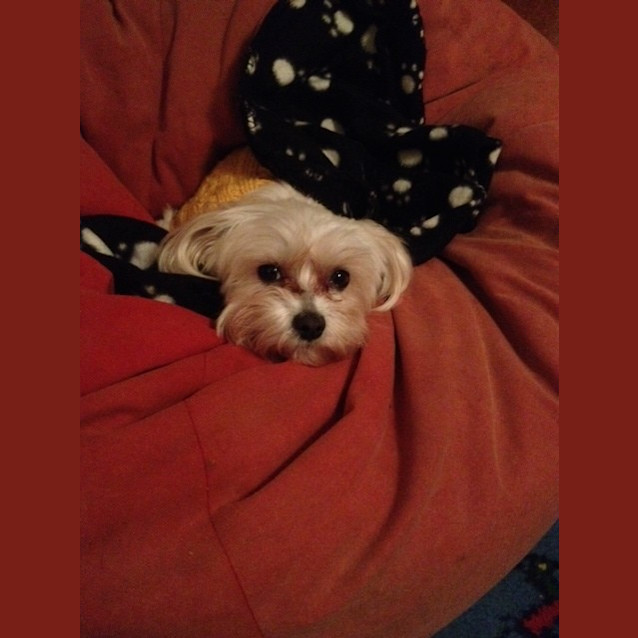 Photo of Hayley