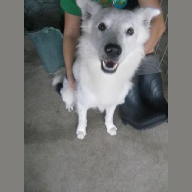 Photo of Axel