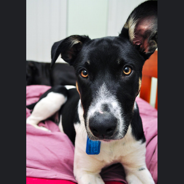 Photo of Clancy