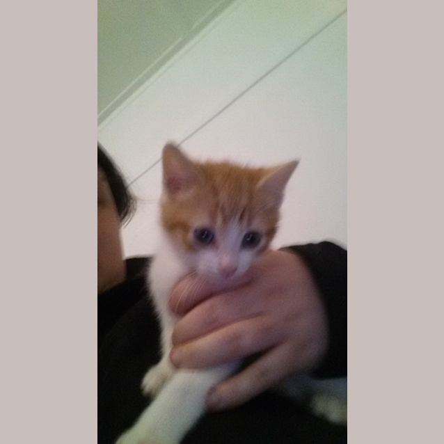 Photo of Andy 