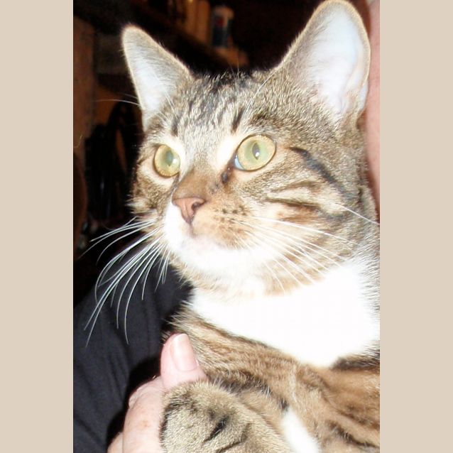 Photo of Rastus E1142