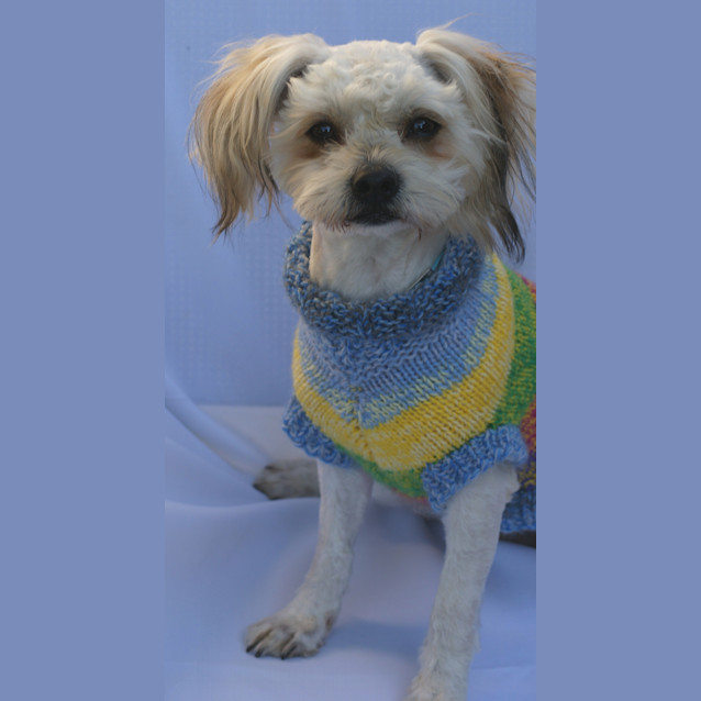 Photo of Harvey
