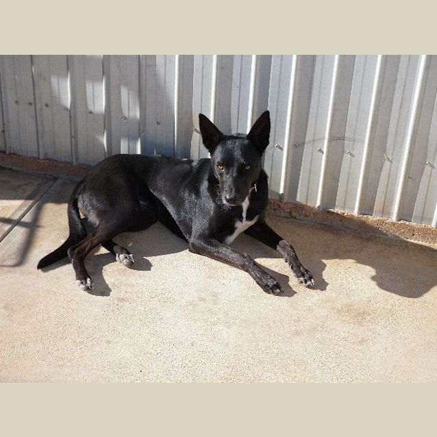 Photo of Jazz