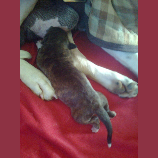 Photo of Prudence & Ursula