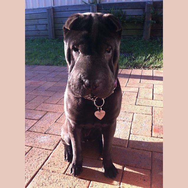 Photo of Belle Is Out On Trial