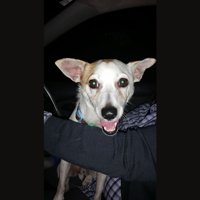 Photo of Freddy