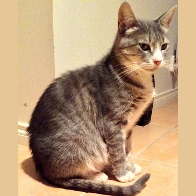 Photo of Molly