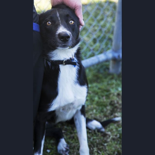 Photo of Zapp