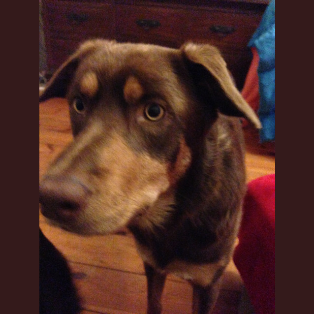 Photo of Indie