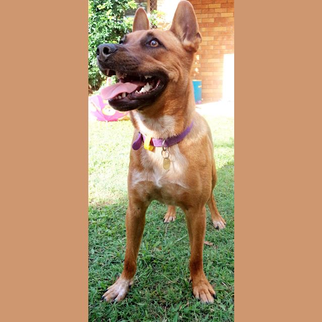 Photo of Pumpkin