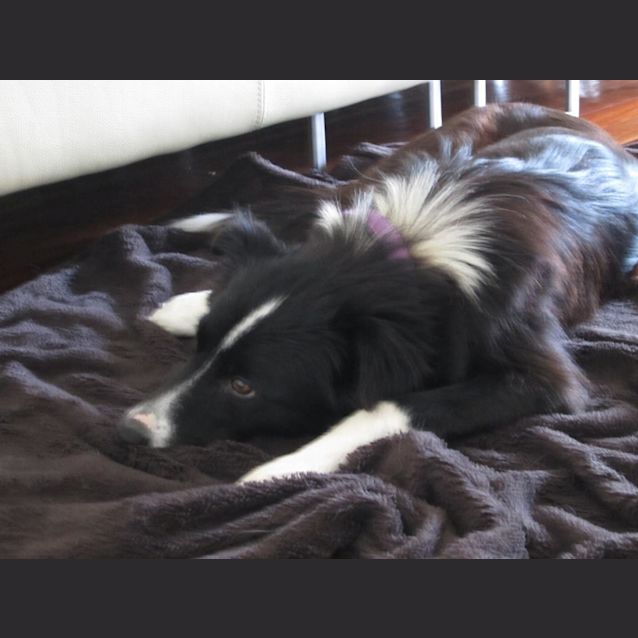 Photo of Beckie