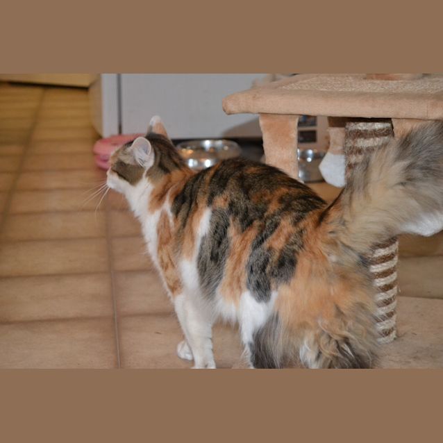 Photo of Molly