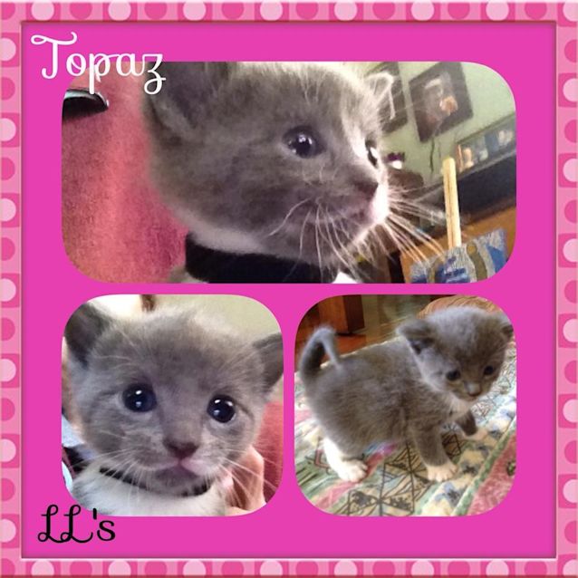 Photo of Topaz 