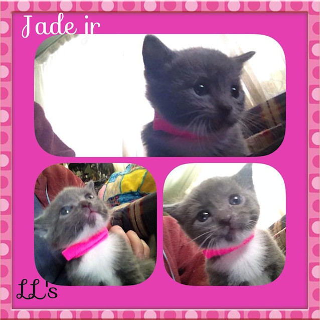 Photo of Jade 