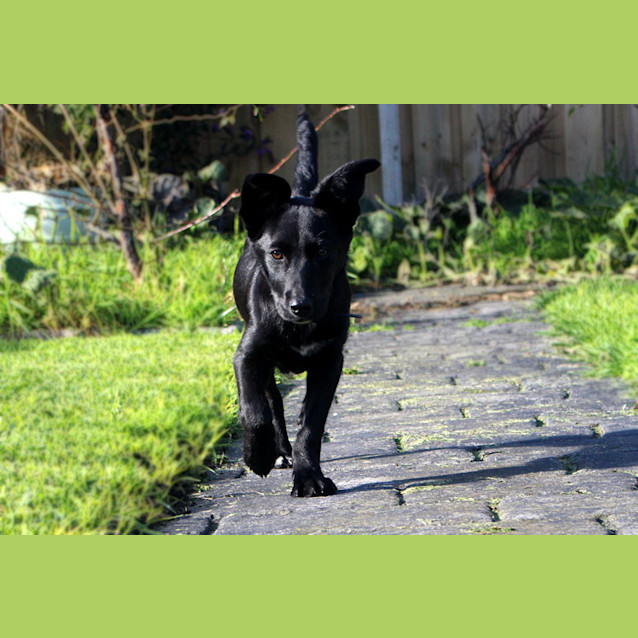 Photo of Winnie