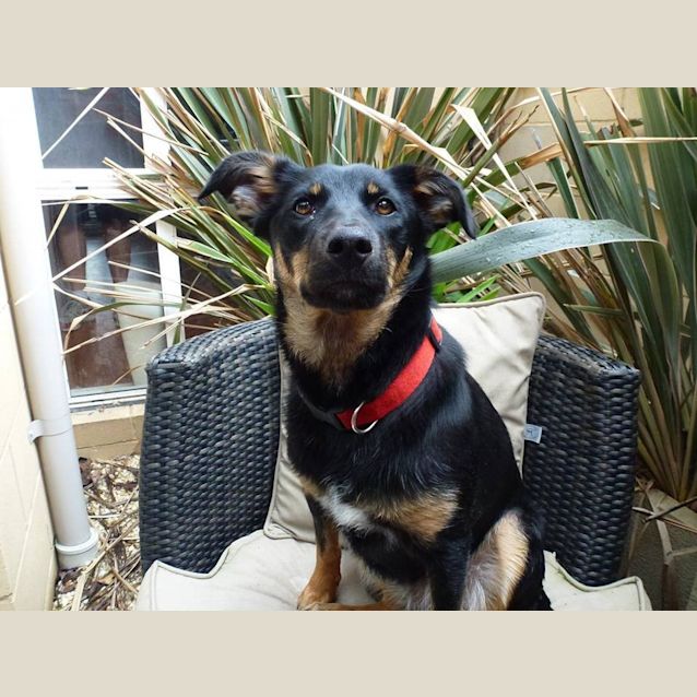Photo of Maggie