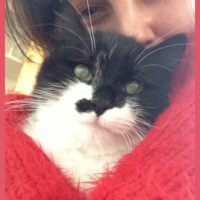 Photo of Marnie