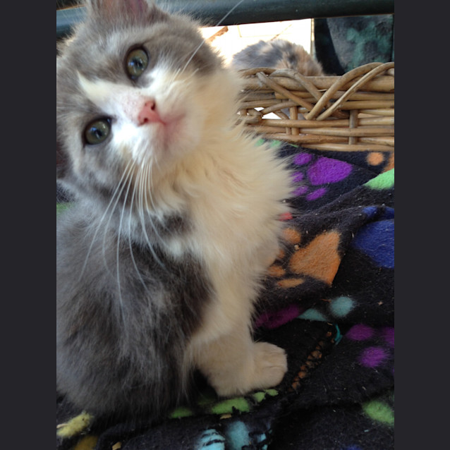 Photo of Juliette