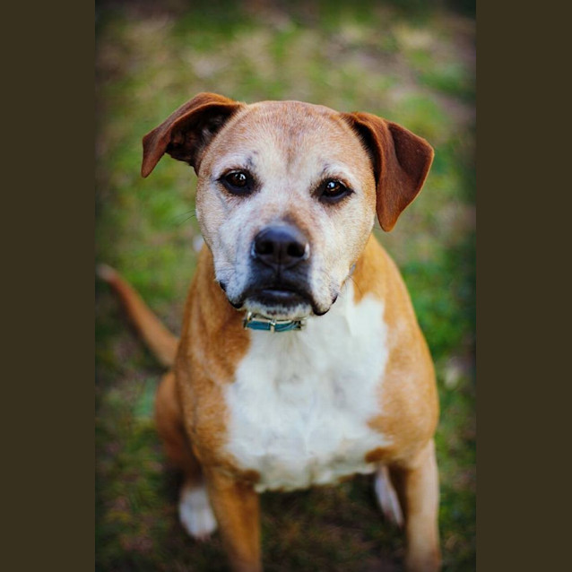 Photo of Rosie 