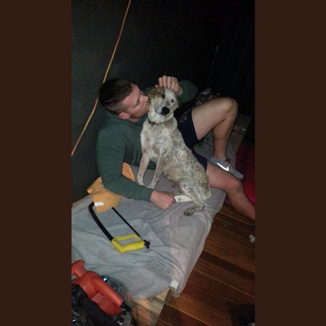 Photo of Minnie (On Trial 30/8/14)