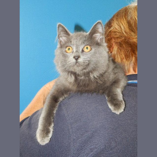 Photo of Spirit