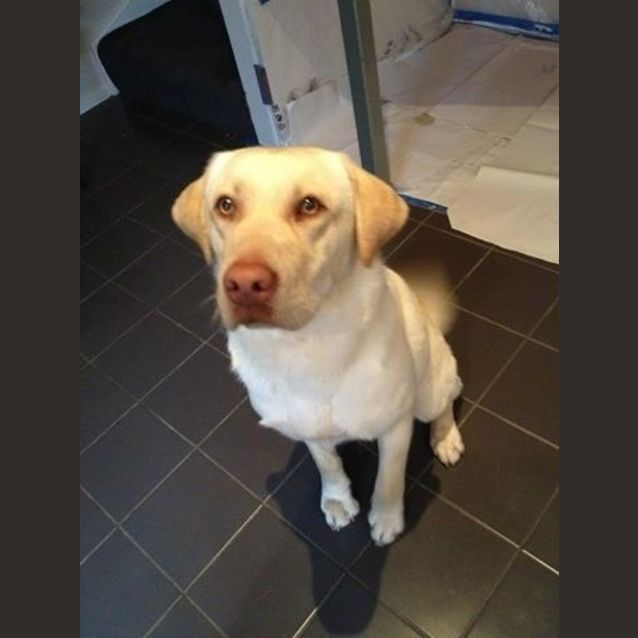 Photo of Max And Sparrow