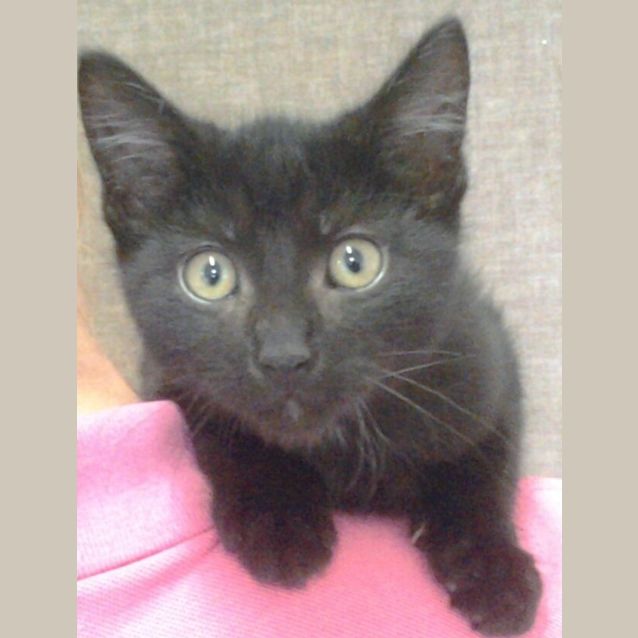 Photo of 091 3542 Finn