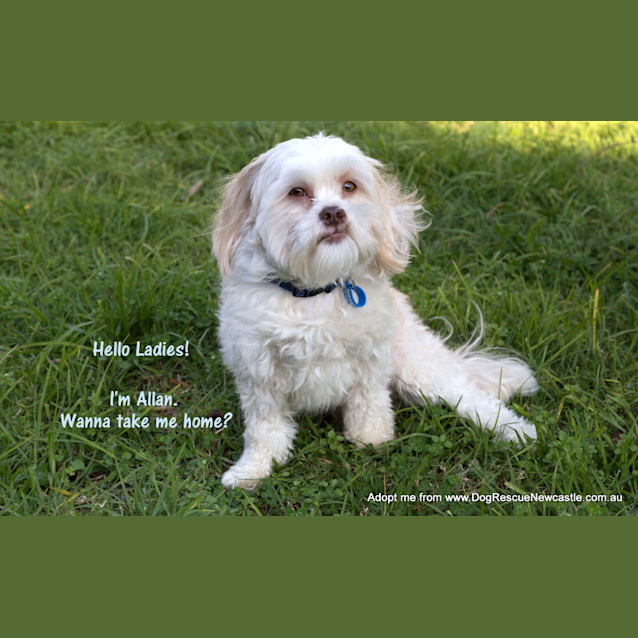 Photo of Allan (On Trial 22/8/14)