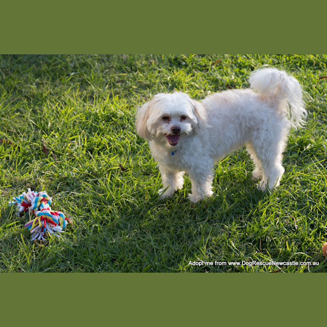 Photo of Allan (On Trial 22/8/14)